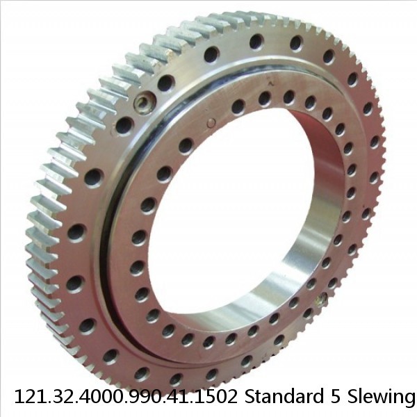 121.32.4000.990.41.1502 Standard 5 Slewing Ring Bearings