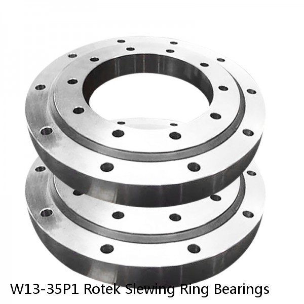 W13-35P1 Rotek Slewing Ring Bearings