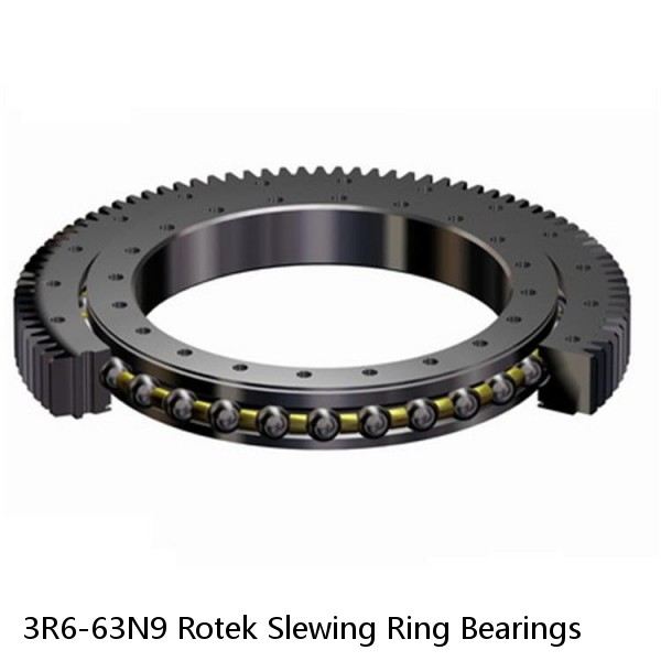 3R6-63N9 Rotek Slewing Ring Bearings