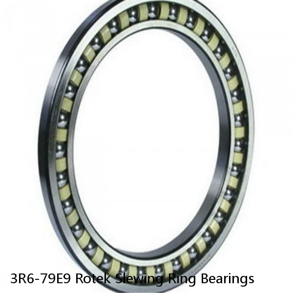 3R6-79E9 Rotek Slewing Ring Bearings