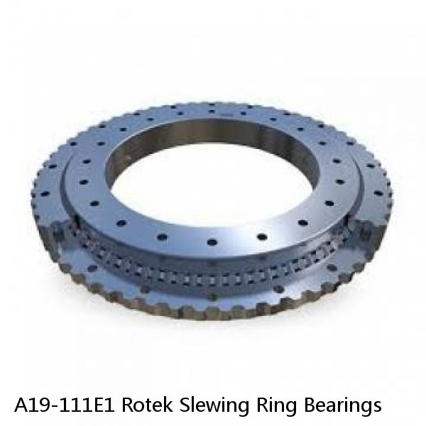 A19-111E1 Rotek Slewing Ring Bearings