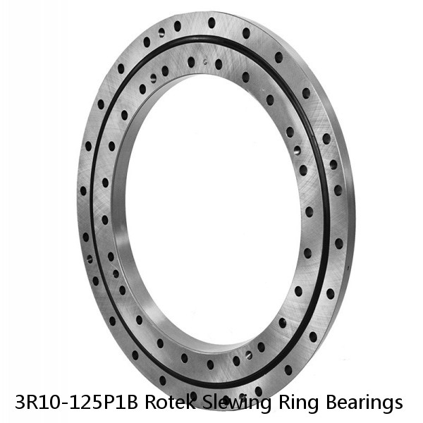 3R10-125P1B Rotek Slewing Ring Bearings