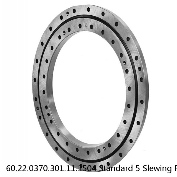 60.22.0370.301.11.1504 Standard 5 Slewing Ring Bearings