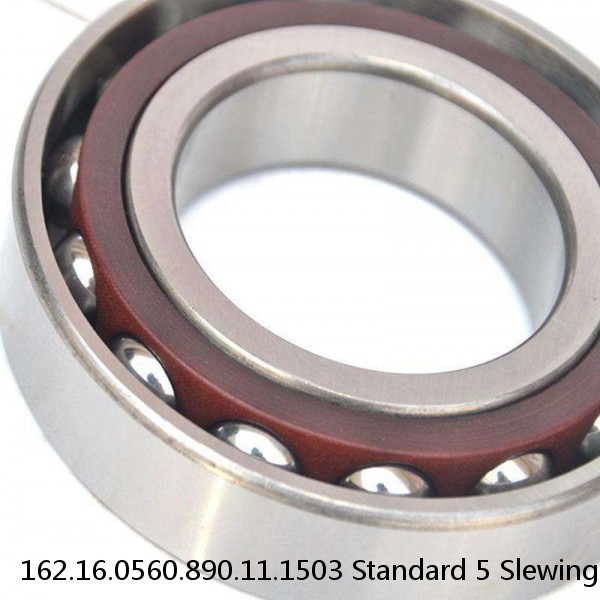 162.16.0560.890.11.1503 Standard 5 Slewing Ring Bearings