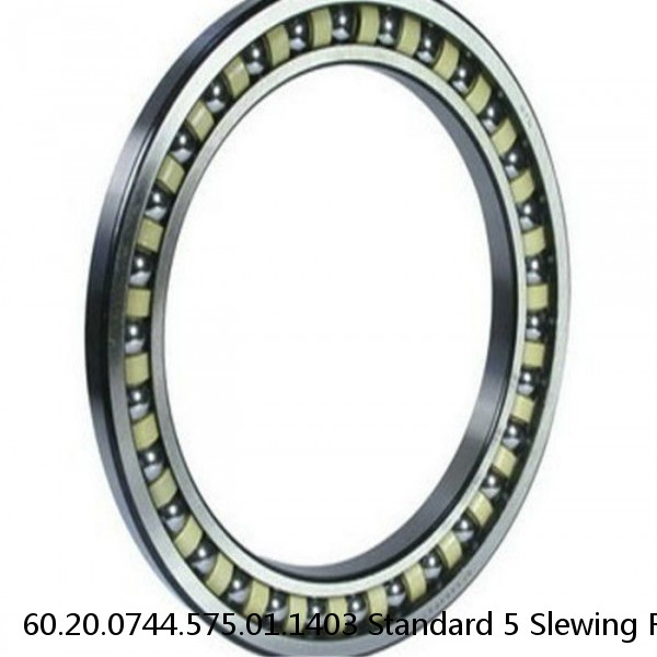 60.20.0744.575.01.1403 Standard 5 Slewing Ring Bearings