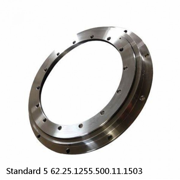 62.25.1255.500.11.1503 Standard 5 Slewing Ring Bearings