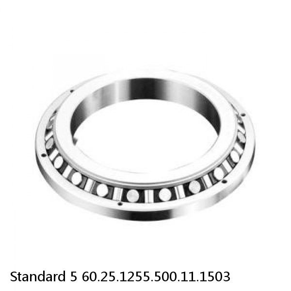 60.25.1255.500.11.1503 Standard 5 Slewing Ring Bearings
