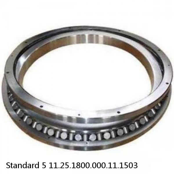 11.25.1800.000.11.1503 Standard 5 Slewing Ring Bearings