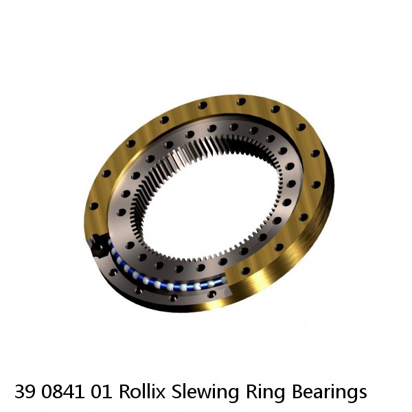 39 0841 01 Rollix Slewing Ring Bearings