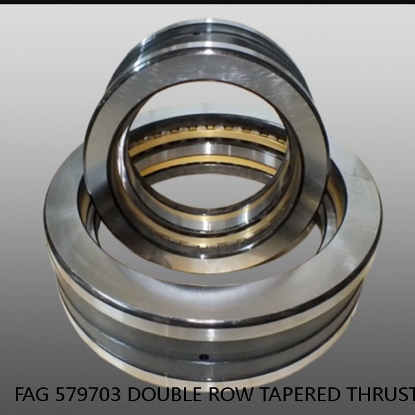 FAG 579703 DOUBLE ROW TAPERED THRUST ROLLER BEARINGS