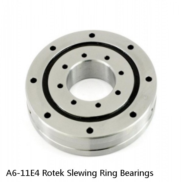 A6-11E4 Rotek Slewing Ring Bearings