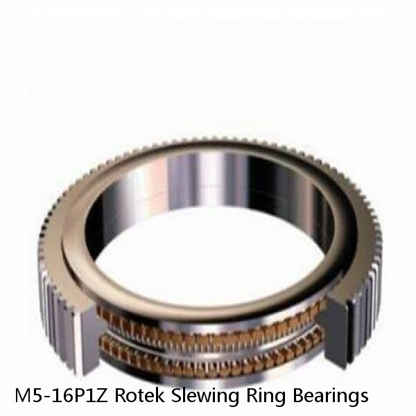 M5-16P1Z Rotek Slewing Ring Bearings #1 small image