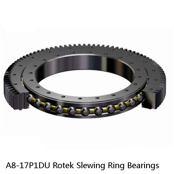 A8-17P1DU Rotek Slewing Ring Bearings #1 small image