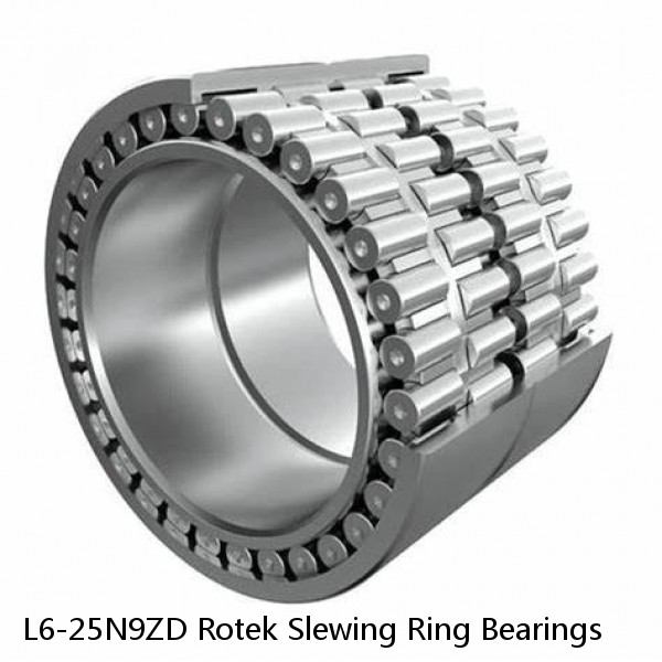 L6-25N9ZD Rotek Slewing Ring Bearings