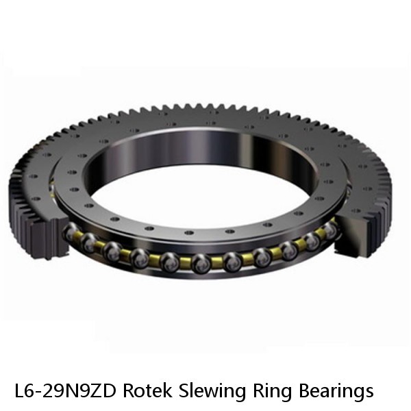 L6-29N9ZD Rotek Slewing Ring Bearings