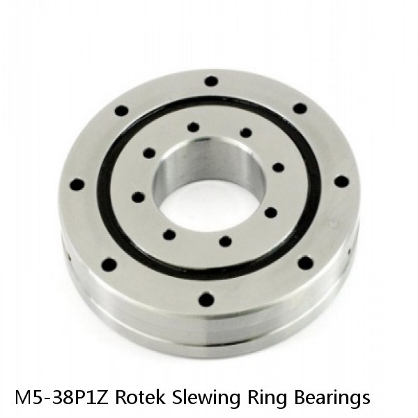 M5-38P1Z Rotek Slewing Ring Bearings #1 small image