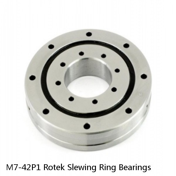 M7-42P1 Rotek Slewing Ring Bearings