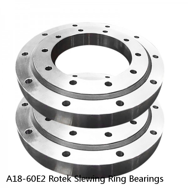 A18-60E2 Rotek Slewing Ring Bearings