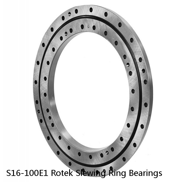 S16-100E1 Rotek Slewing Ring Bearings