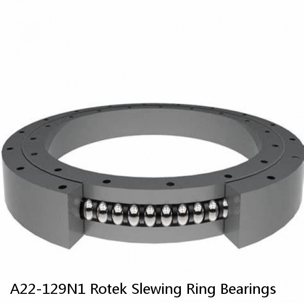 A22-129N1 Rotek Slewing Ring Bearings