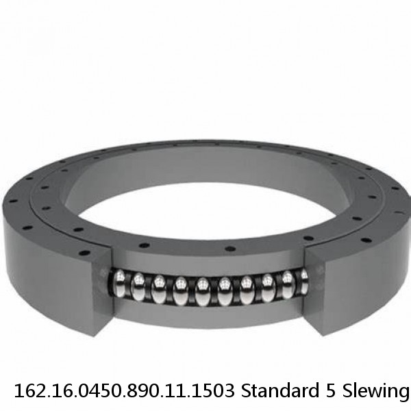 162.16.0450.890.11.1503 Standard 5 Slewing Ring Bearings