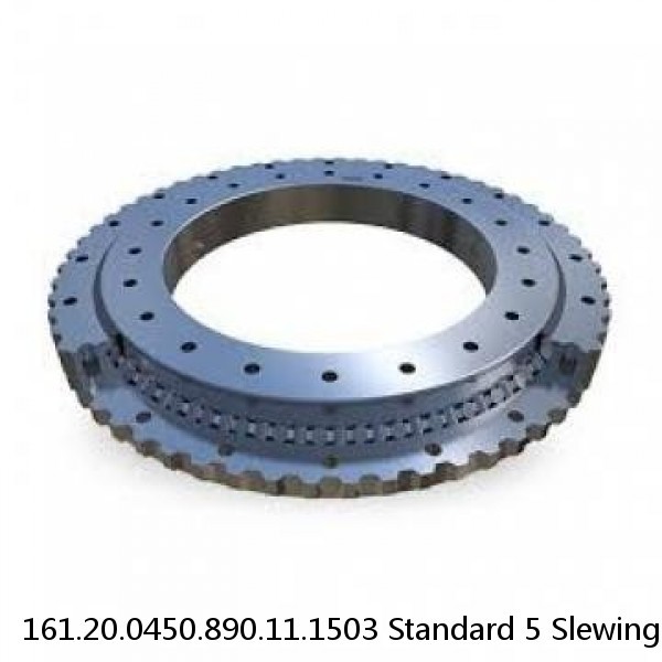 161.20.0450.890.11.1503 Standard 5 Slewing Ring Bearings