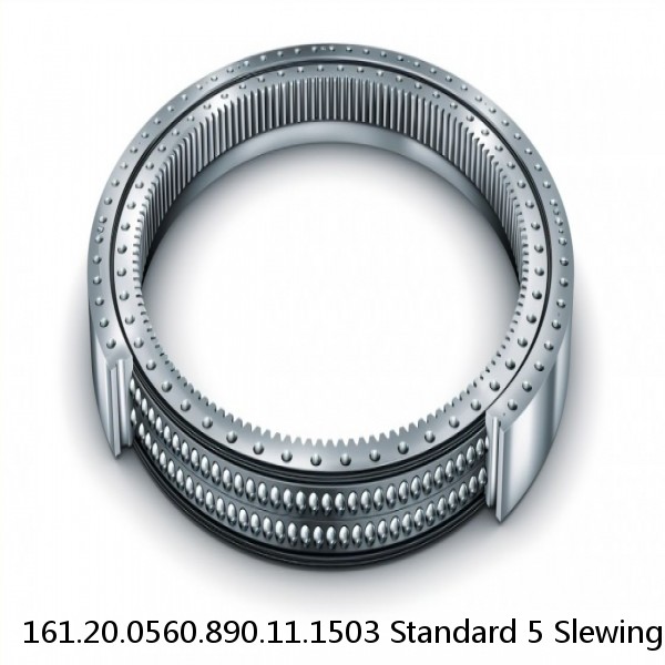 161.20.0560.890.11.1503 Standard 5 Slewing Ring Bearings