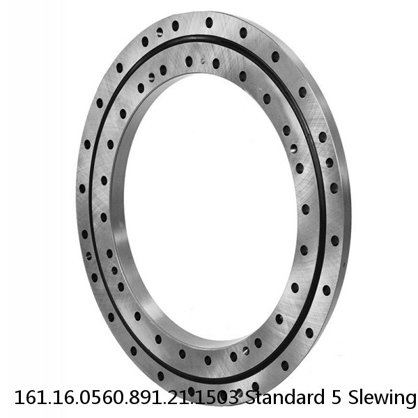 161.16.0560.891.21.1503 Standard 5 Slewing Ring Bearings