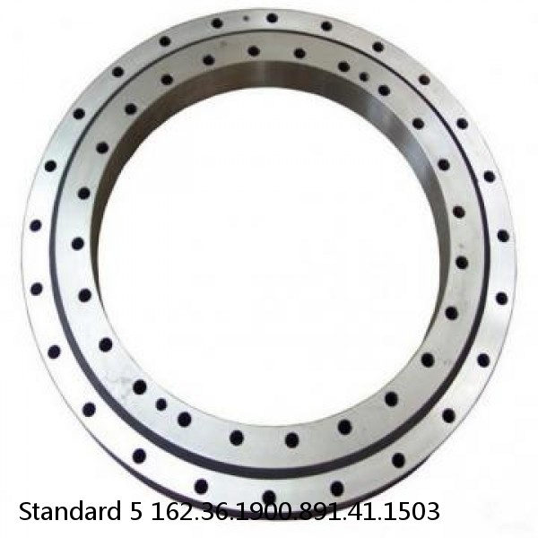 162.36.1900.891.41.1503 Standard 5 Slewing Ring Bearings #1 small image