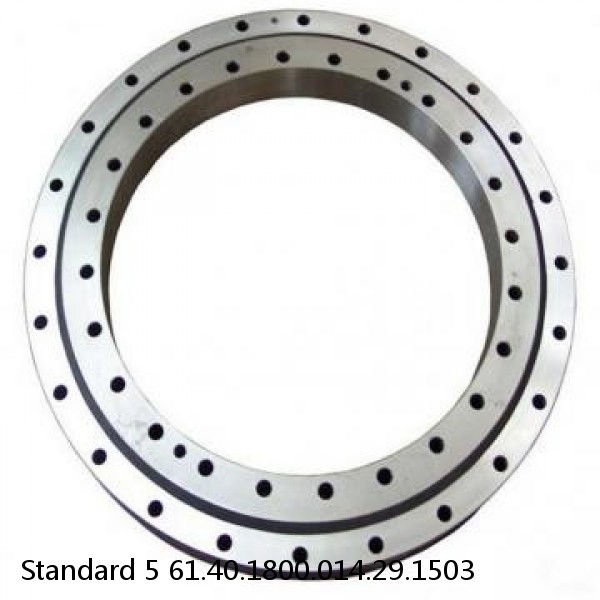 61.40.1800.014.29.1503 Standard 5 Slewing Ring Bearings