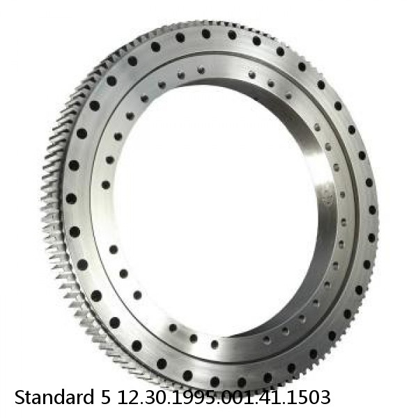 12.30.1995.001.41.1503 Standard 5 Slewing Ring Bearings #1 small image