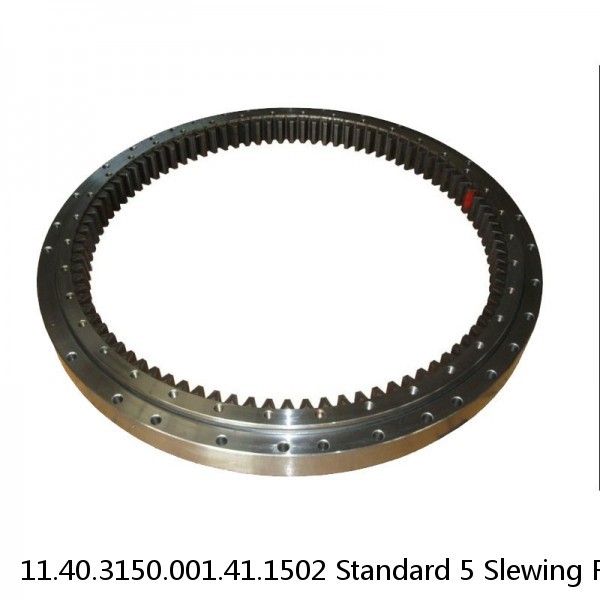 11.40.3150.001.41.1502 Standard 5 Slewing Ring Bearings