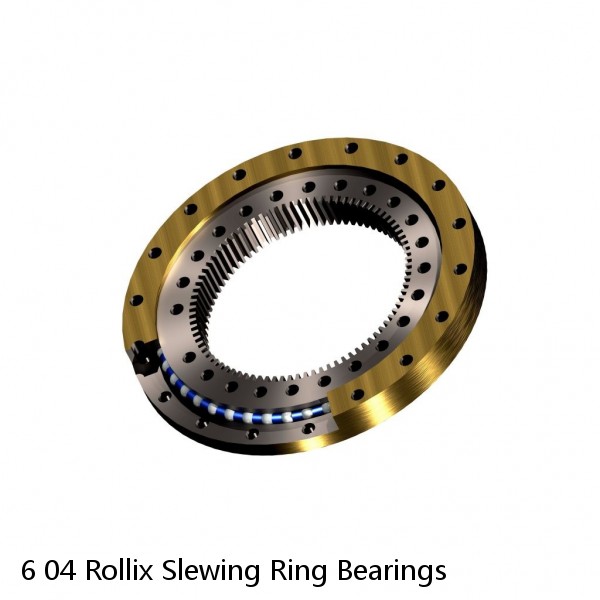 6 04 Rollix Slewing Ring Bearings #1 small image