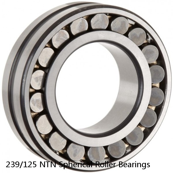 239/125 NTN Spherical Roller Bearings #1 small image