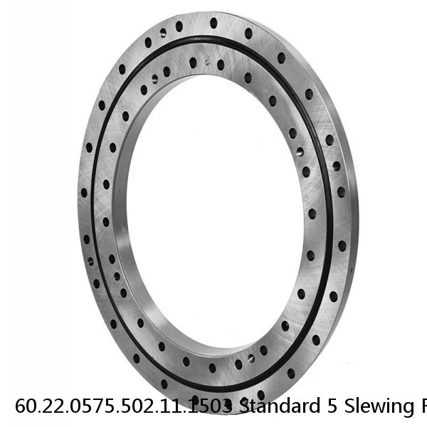 60.22.0575.502.11.1503 Standard 5 Slewing Ring Bearings #1 image