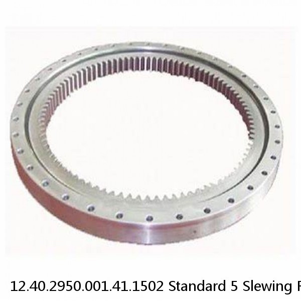 12.40.2950.001.41.1502 Standard 5 Slewing Ring Bearings #1 image