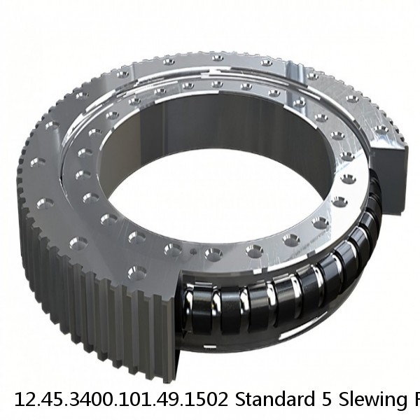 12.45.3400.101.49.1502 Standard 5 Slewing Ring Bearings #1 image