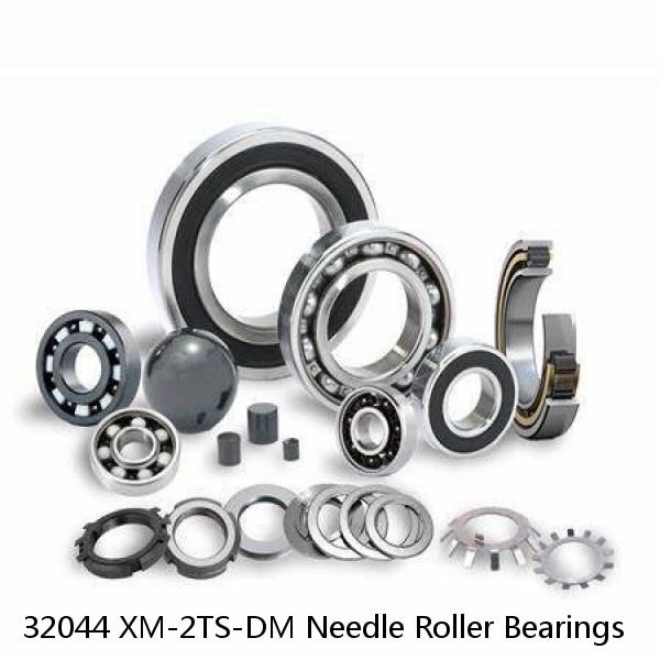 32044 XM-2TS-DM Needle Roller Bearings #1 image