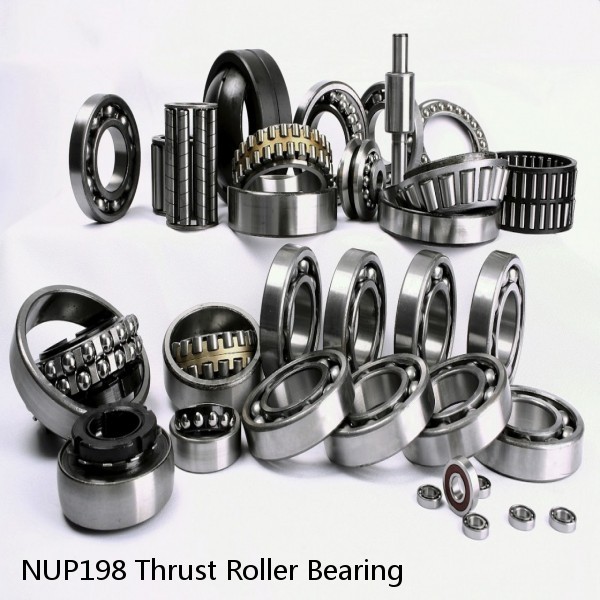 NUP198 Thrust Roller Bearing #1 image