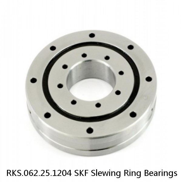 RKS.062.25.1204 SKF Slewing Ring Bearings #1 image