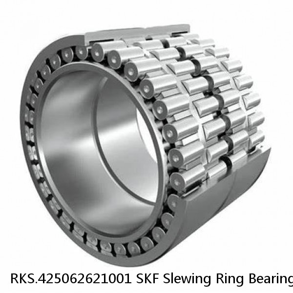 RKS.425062621001 SKF Slewing Ring Bearings #1 image