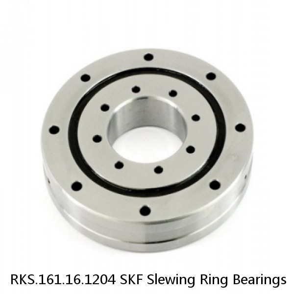 RKS.161.16.1204 SKF Slewing Ring Bearings #1 image