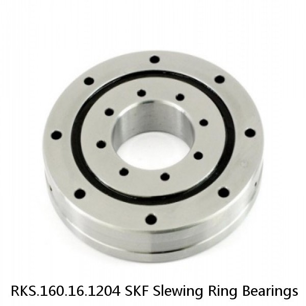 RKS.160.16.1204 SKF Slewing Ring Bearings #1 image