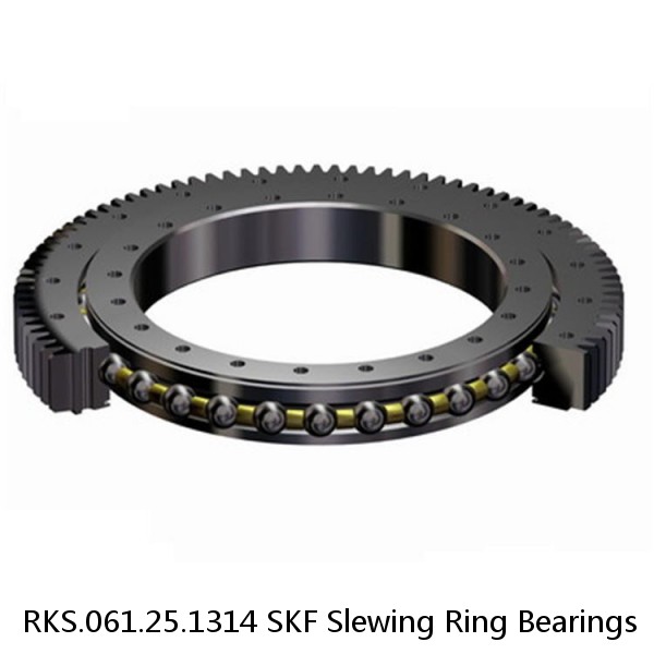 RKS.061.25.1314 SKF Slewing Ring Bearings #1 image