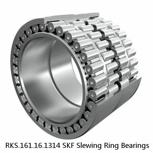 RKS.161.16.1314 SKF Slewing Ring Bearings #1 image