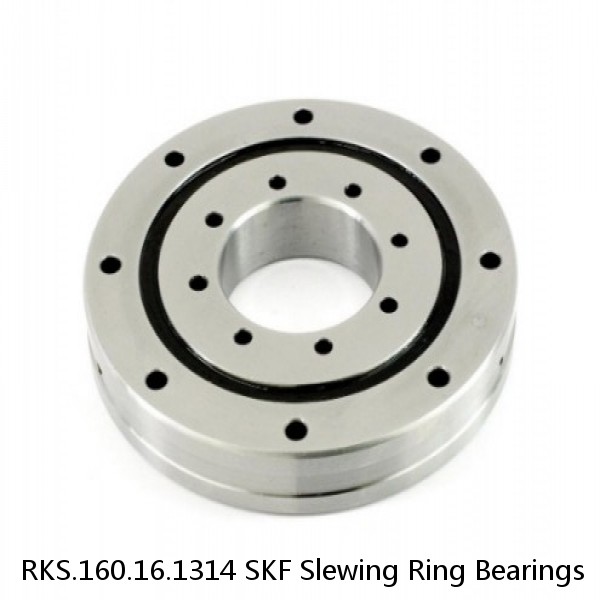 RKS.160.16.1314 SKF Slewing Ring Bearings #1 image