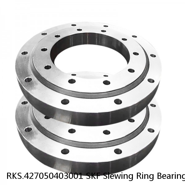 RKS.427050403001 SKF Slewing Ring Bearings #1 image