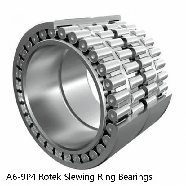 A6-9P4 Rotek Slewing Ring Bearings #1 image