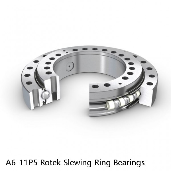 A6-11P5 Rotek Slewing Ring Bearings #1 image