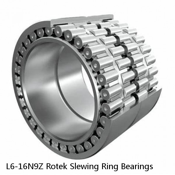 L6-16N9Z Rotek Slewing Ring Bearings #1 image